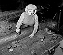 souvenirs en noir et blanc (244)